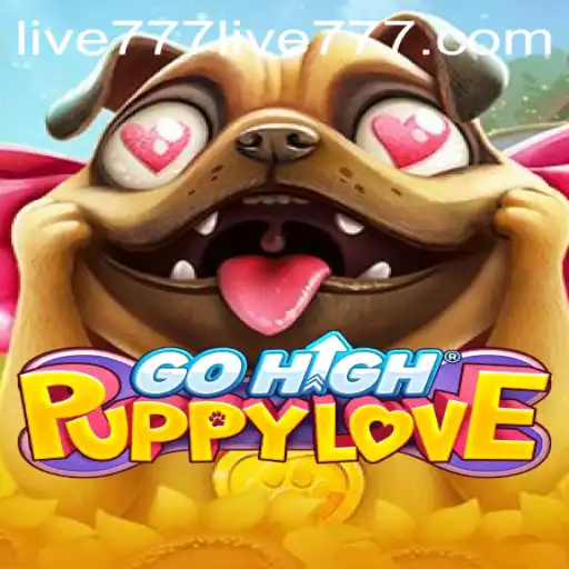 GoHighPuppyLove: A New Era of Interactive Gaming