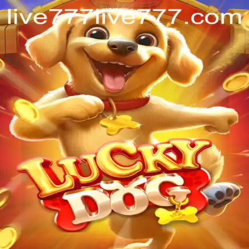 LuckyDog: Dive into the Exciting World of Live777